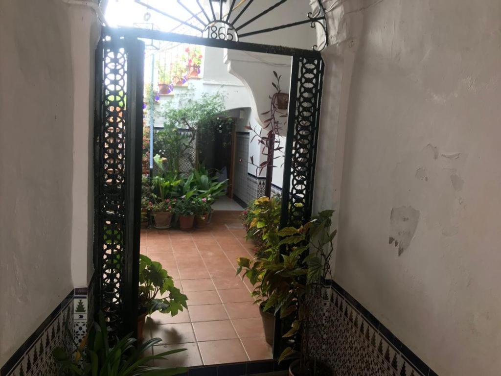 Apartamento Antonio Ureba 9 Conil De La Frontera Exterior foto